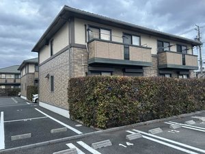 ウィルモア
