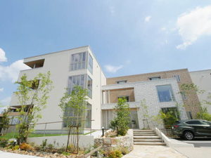 Ａｉｌｅ 0203号-1