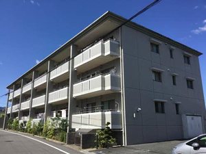 パッヘルカノン雁宿