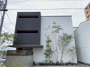 アモタテラス 0201号-1