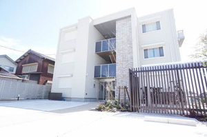 Ｇｕｒｉｓｈｉｎａ（グリシナ） 0202号-1