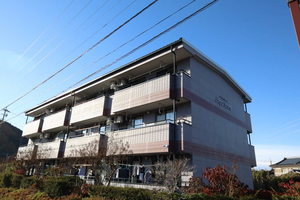 Ｌｉｍｐｉａ　Ｐａｒｔｅｒｒｅ 0305号-1