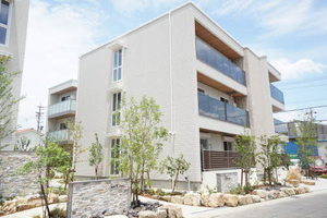 Ａｉｒｅｓ　ｄｏｓ