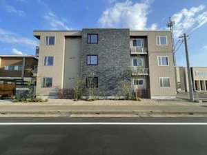 ライム グリーン 0301号-15