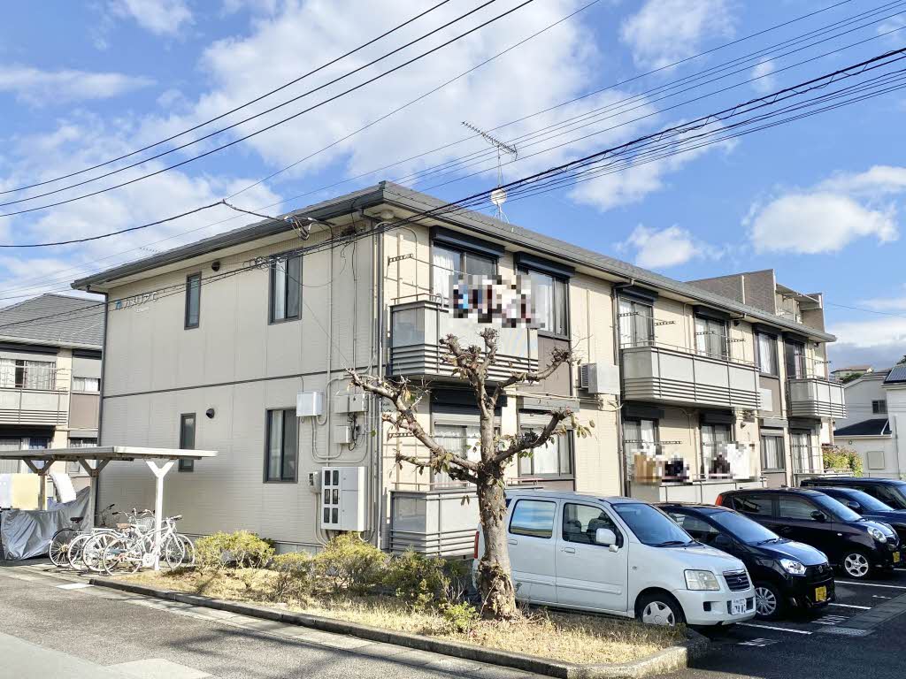 カメリア