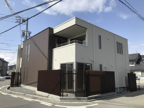 ブリューテ並柳