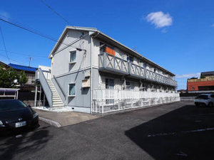 プラムコート 0105号-1