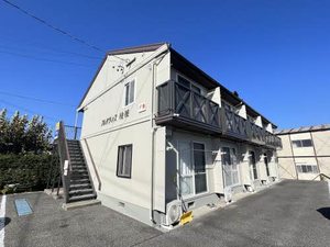 フレグランス桔梗 0105号-15