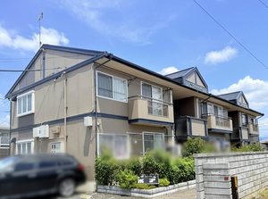 アデリーヌボア S203号-1