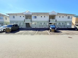 フレグランスアイビー A101号-1