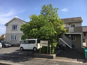 メゾンデジュネシス