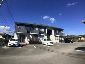 グレイスコート