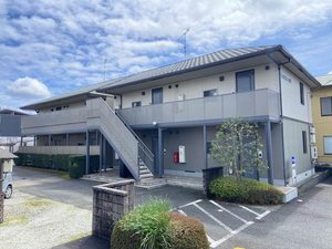 Ｌｕｍｂｅｒ　ｍｉｌｌ