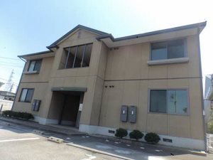 Ｆｉｎｅ　ＹＯＮＥＤＡ C207号-1