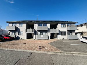 ディアス　石芝 0202号-1