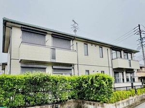 マロニエ B202号-1