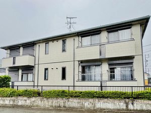 マロニエ B202号-15