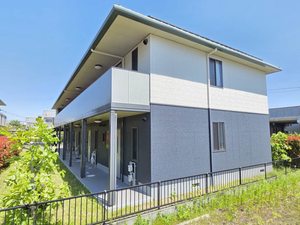 LebenⅡ B101号-15