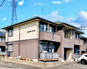 セントポーリア