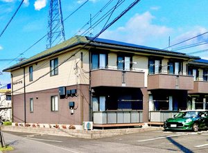 セントポーリア E102号-1