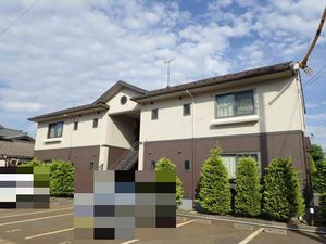 ボヌールさるはし