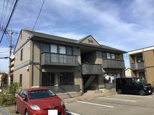 ラフローラ D213号-1