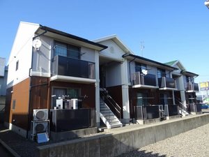 パンパスグラス 0105号-1