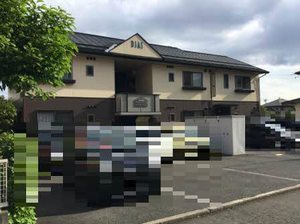 ディアスナオエ 0102号-1