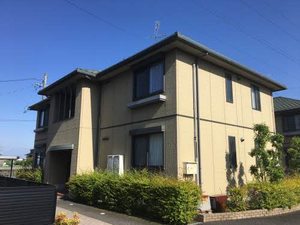 グリーンフィールド