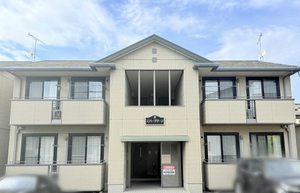 エバーグリーン