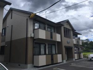 フェリックスシュタット B201号-1