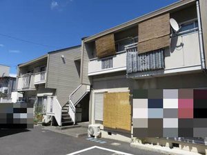 タウニーエース