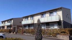 オリーブ B101号-2