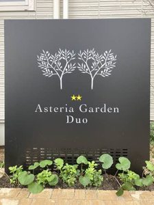 Ａｓｔｅｒｉａ　Ｇａｒｄｅｎ　Ｄｕｏ 0103号-12