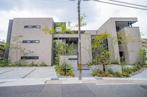 ヴィオレッタ 0301号-12