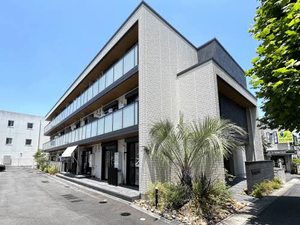 ドラセナテラス