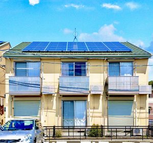 Ｐｅａｃｅ　ｔｒｉｂｅ