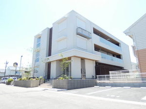 ハリープレイス