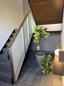 セントリビエ 0106号-14