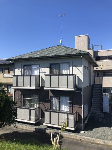 エバーグリーンⅡ