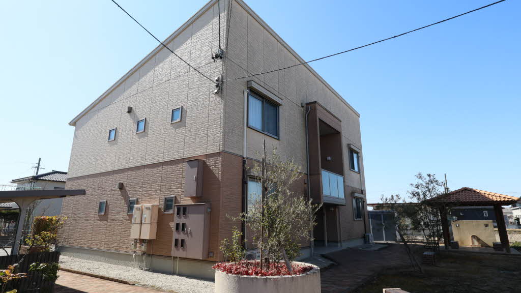 オリーブ C102号-2