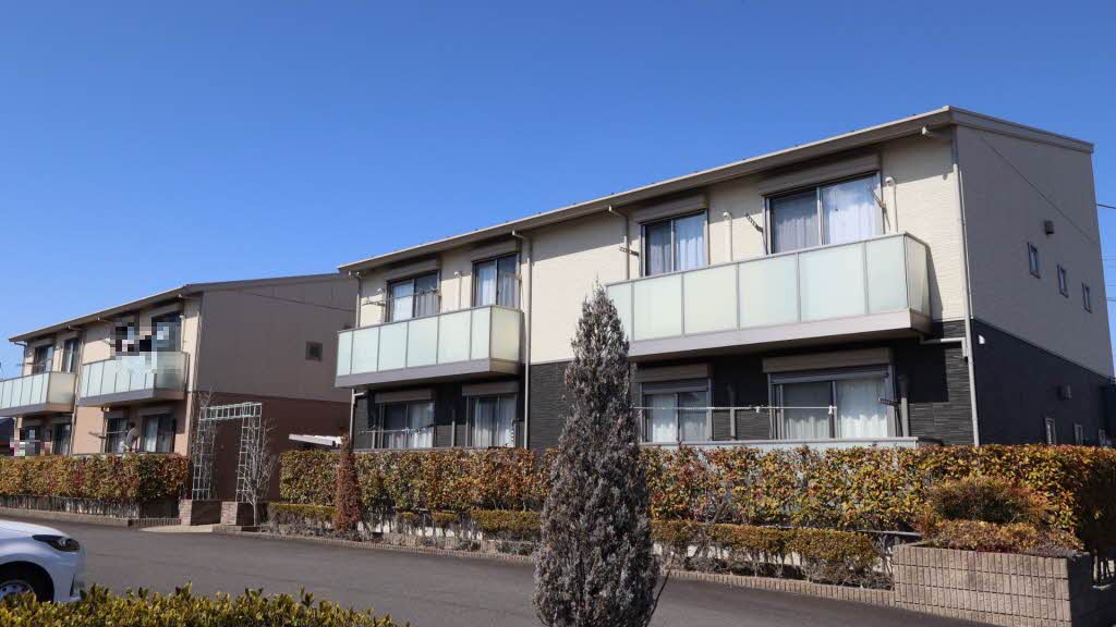 オリーブ C102号-3