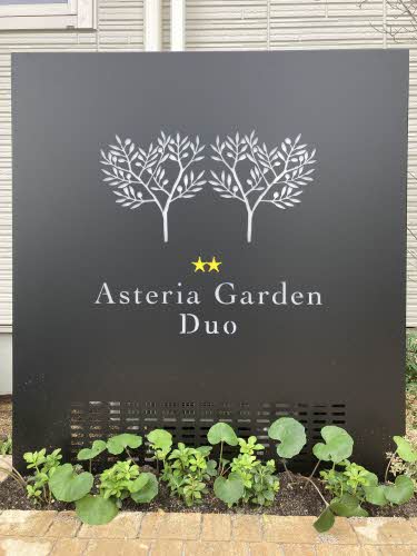 Ａｓｔｅｒｉａ　Ｇａｒｄｅｎ　Ｄｕｏ 0203号-15