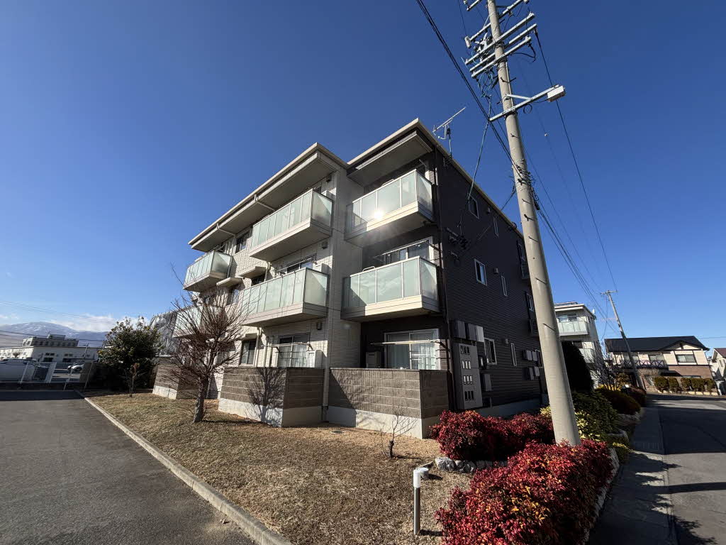 ＭＡＳＴＴＯＷＮ　Ｂｒｏｗｎｉｅ