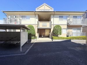 ディアスキタコー B101号-15