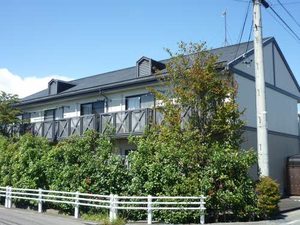 フレグランス　グリーン