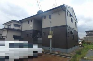 ハイドランジア 0201号-1