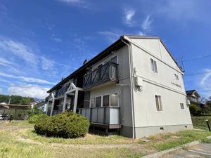 フレグランスひまわり C203号-1