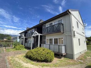 フレグランスひまわり C201号-15