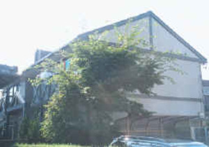 イズランド 0102号-1